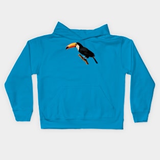 Toucan Kids Hoodie